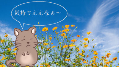 デグーの日常を絵にしてみました